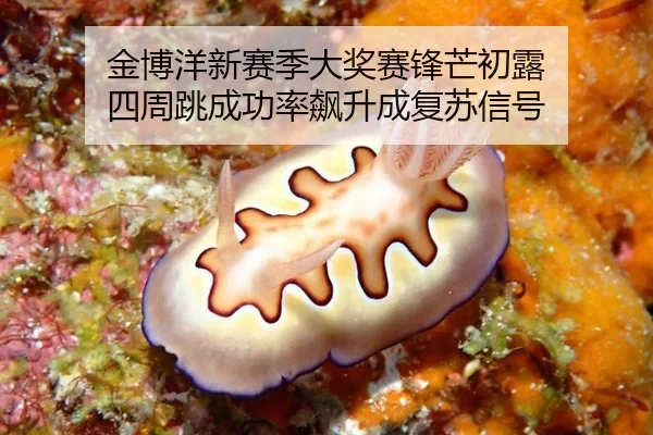 jin-bo-yang-xin-sai-ji-da-jiang-sai-feng-mang-chu-lu-si-zhou-tiao-cheng-gong-lv-biao-sheng-cheng-fu-su-xin-hao-2-253.jpg